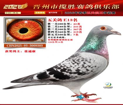 ��ظ���13��