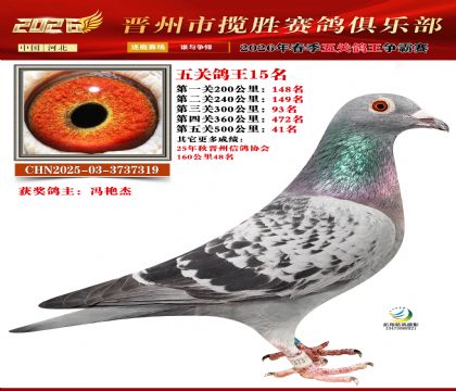 ��ظ���15��