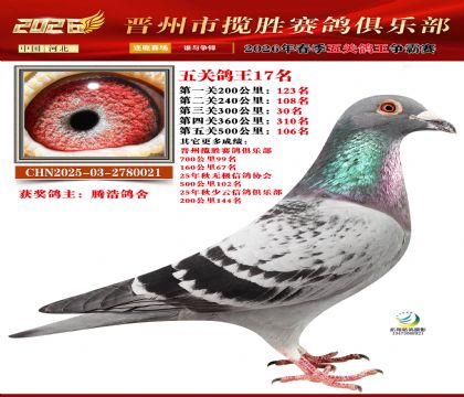 ��ظ���17��