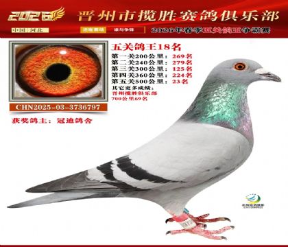 ��ظ���18��