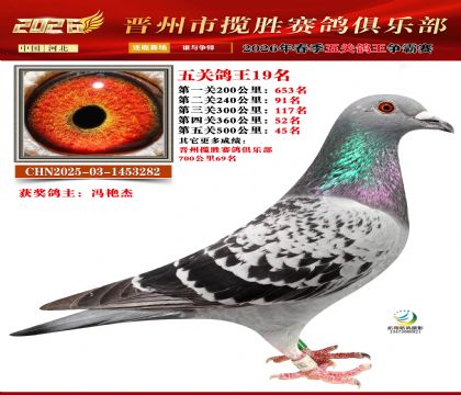 ��ظ���19��