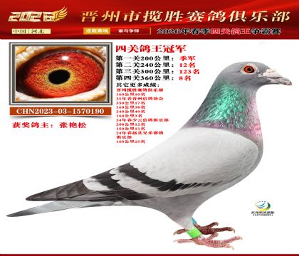 �Ĺظ����ھ�