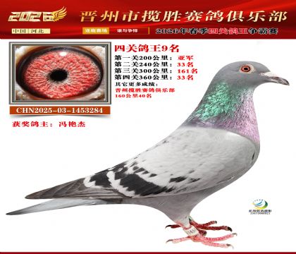 �Ĺظ���9��