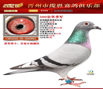 500���＾��