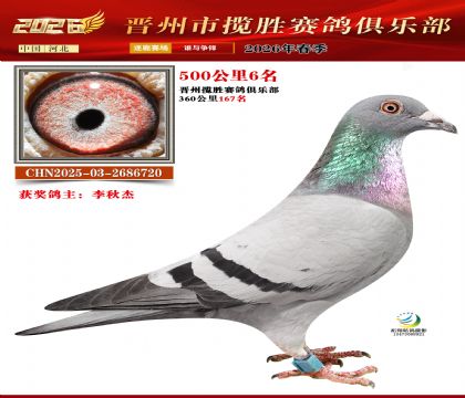 500����6��