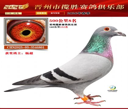 500����8��