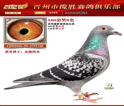 500����9��