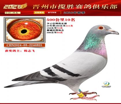 500����10��