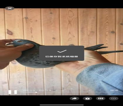 ���ǿ��ո���589