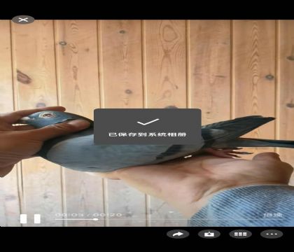 ���ǿ��ո���694