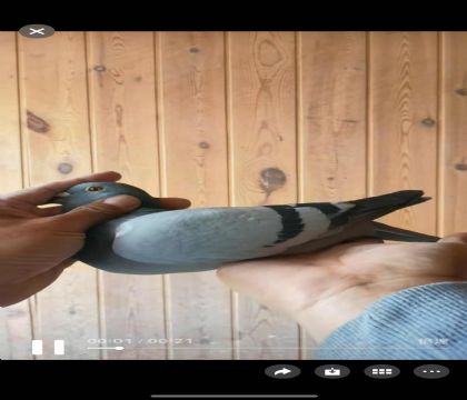 ���ǿ��ո���643