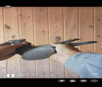 ���ǿ��ո���861