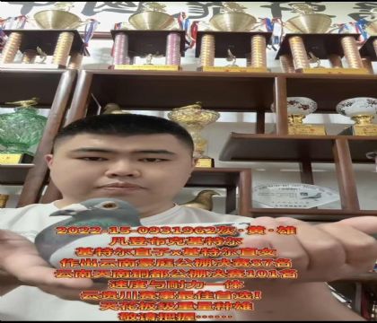 �ƹ������ѡ�����ǲ��ˡ����ض���ֱ��X�����ض���ֱŮ