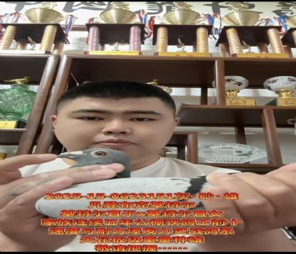 �ƹ������ѡ�����ǲ��ˡ����ض���ֱ��X�����ض���ֱŮ