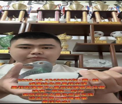 ɽ�����ǣ������ϲ�����ī�ƶ��ɡ�ֱ��X��ī�ƶ��ɡ�ֱŮ