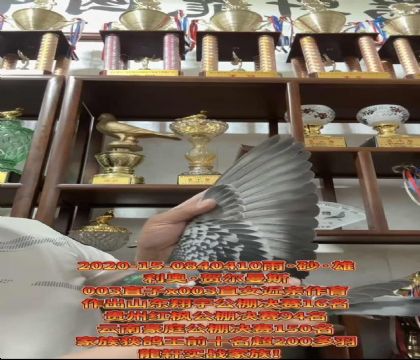 ���ٷ��������º،���˹003ֱ��xֱŮ��������