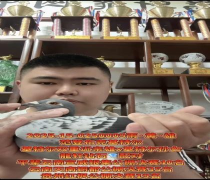 �����ȶ������ǲ��ˡ����ض�˫�ؽ����ۡ�X�����ض�����Ů