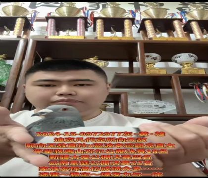 ����ӮǮ�����������������޵�ֱ��X�����Ҹ�·��ֱŮ