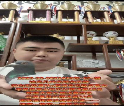 ����ӮǮ�����������������޵�ֱ��X�����Ҹ�·��ֱŮ