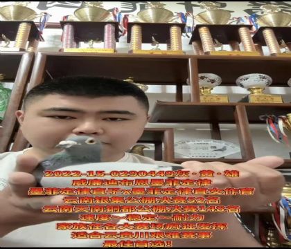 ɽ�����ǣ������ϲ�����ī�ƶ��ɡ�ֱ��X��ī�ƶ��ɡ�ֱŮ