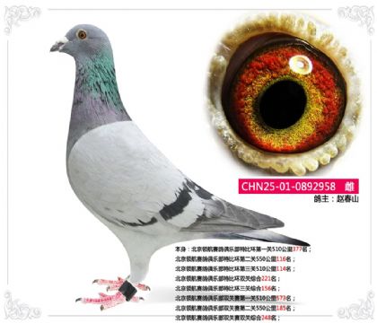 �����캽������ֲ��رȻ������ۺ�156��  ��	