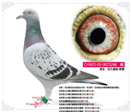 �����Ѻ�������ֲ�˫�����ڶ���550����184��   ��	