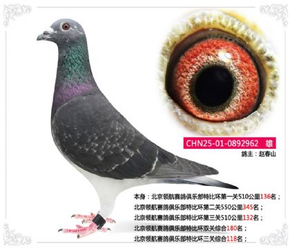 �����캽������ֲ��رȻ������ۺ�118��   ��	