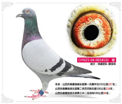 ɽ���ȷ�������ֲ������ض�������530����84��   ��	