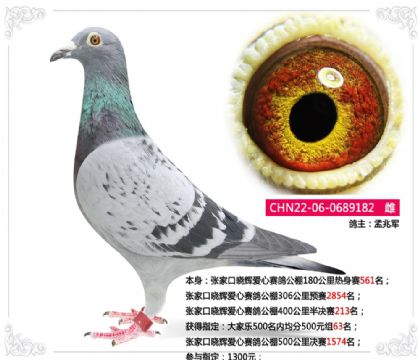 �żҿ����԰������빫��400��������213��   ��	