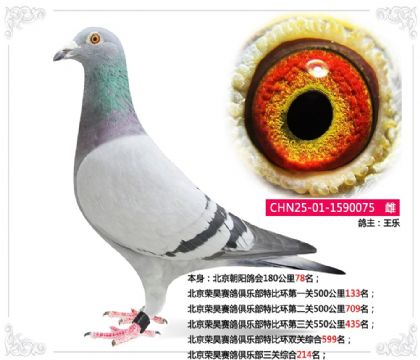 �������������ֲ������ۺ�214��  ��	