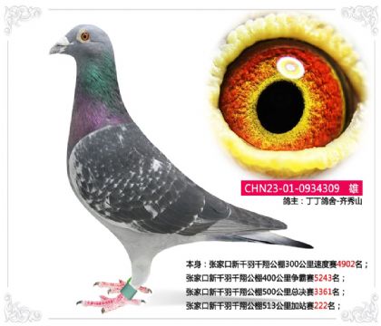 �żҿ���ǧ��ǧ�蹫��513�����վ��222��  ��	