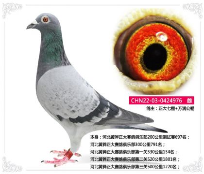 �ӱ���������������ֲ���һ��530����154��  ��	