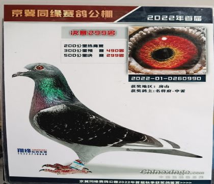 ����ͬԵ���빫��500�������299��   ��	