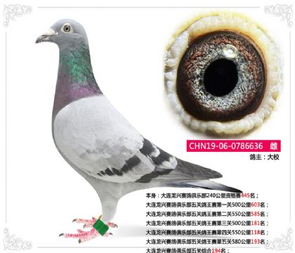 ��������������ֲ�����ۺ�194��  ��	