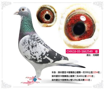 ���ݰ��ǿ������빫��520�������501��   ��	