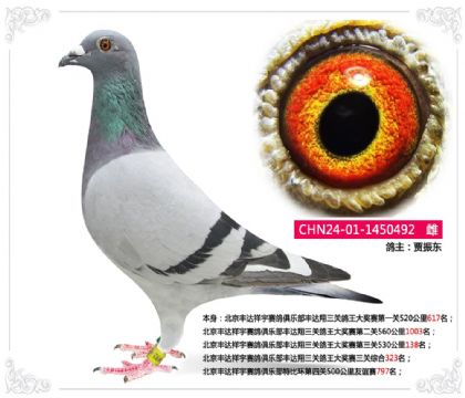 �����������������ֲ��رȻ������ۺ�323��   ��	