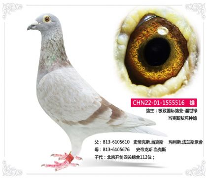 ���¹��ʸ�ҵ-����»    ����˹˽���ָ�	516   ��	