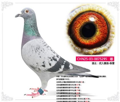 ��������������ֲ�500����117��   ��	