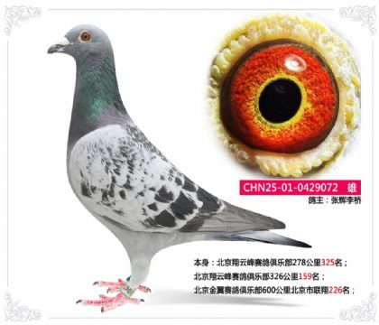 ��������������ֲ�600���ﱱ��������226��  ��	