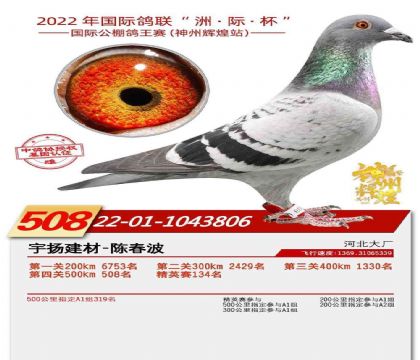 �������ݻԻ����빫��500�������508��   ��	