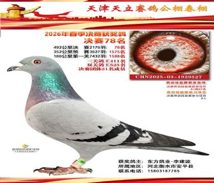 ����������빫��(����)492�������78��   ��	