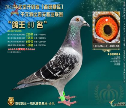 ���˸�Ὺ���ߡ���ӥ�Ĺء��������������Ĺ��ۺϸ���80��