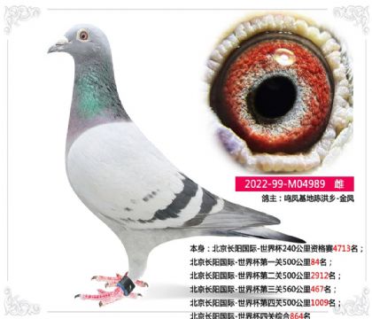 ������������-���籭��һ��500����84��  ��