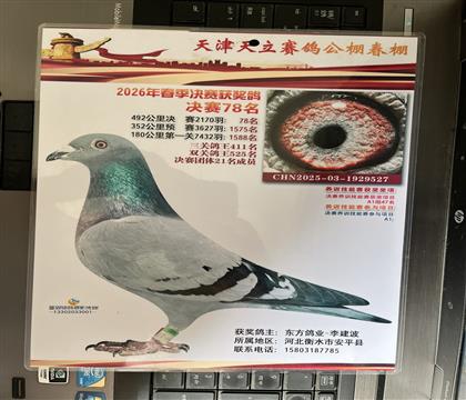 ����Ƭ��뷢��