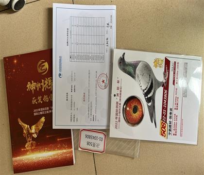 ����������뷢��