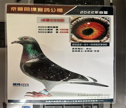 ����Ƭ��뷢��