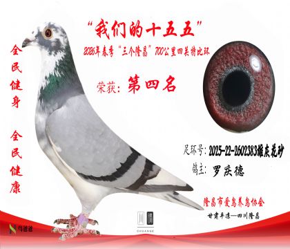 4�������2025-22-2602383�ۻһ�ɰ