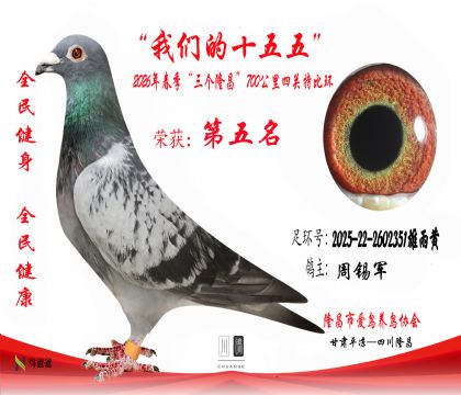 5��������2025-22-2602351�����