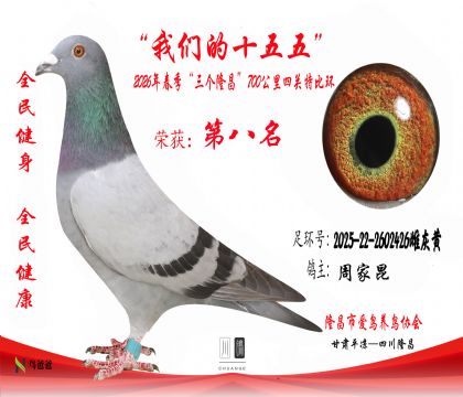 8���ܼ���2025-22-2602426�ƻһ�