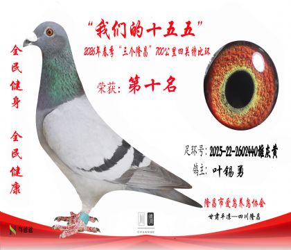 10��Ҷ����2025-22-2602440�ۻһ�